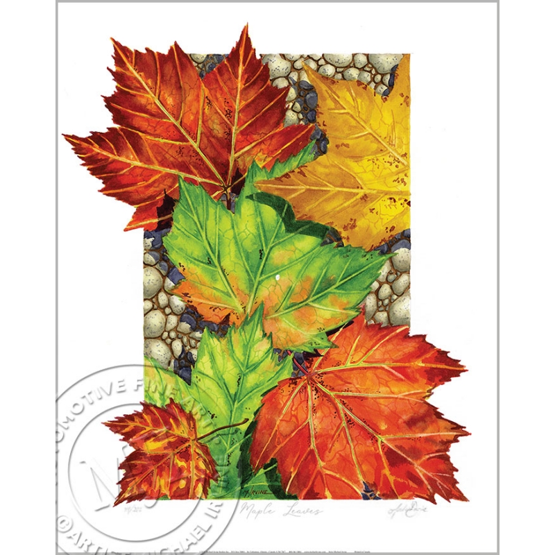 Brilliant colorful maple leaves against a river rock backdrop. Signed/numbered by Artist Michael Irvine